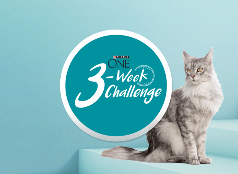 Take The Purina One 3 Week Challenge Purina